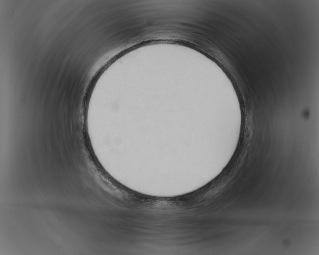 X0000115790787200912241830