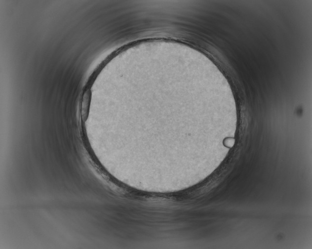 X0000115790788200912241830
