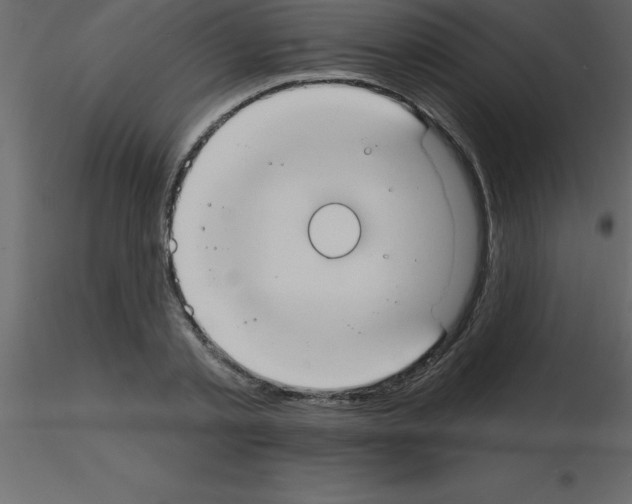 X0000115790789200912241830