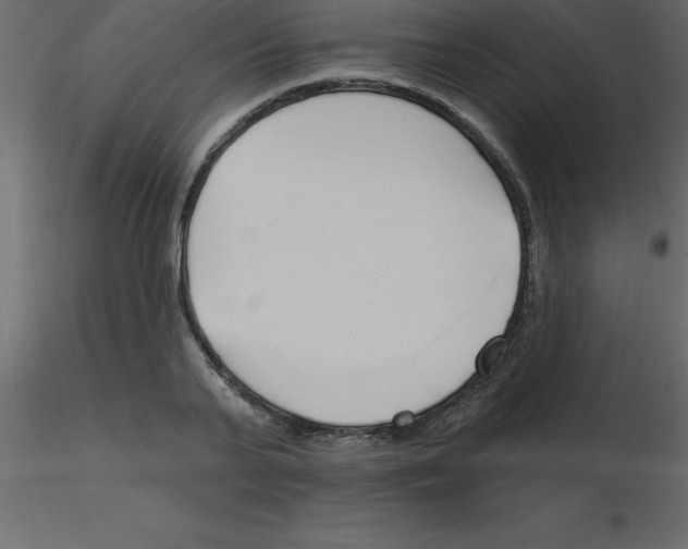 X0000115790791200912241830