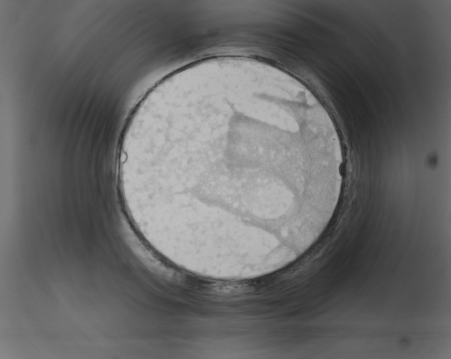 X0000115790795200912241830