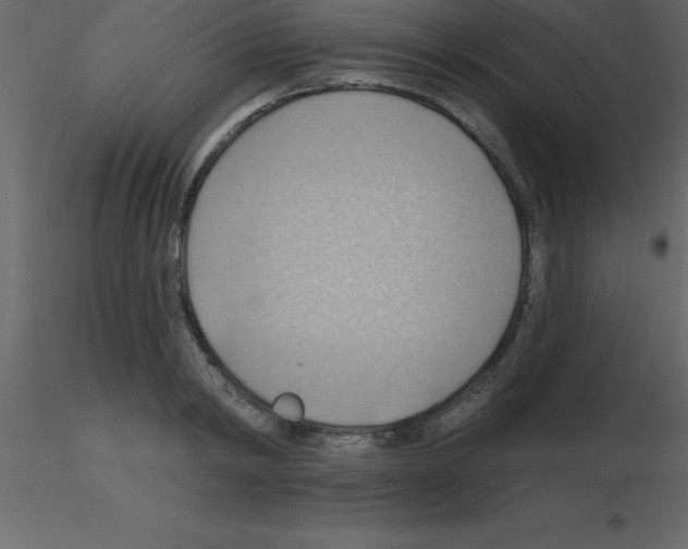 X0000115790798200912241830