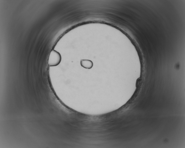 X0000115790799200912241830