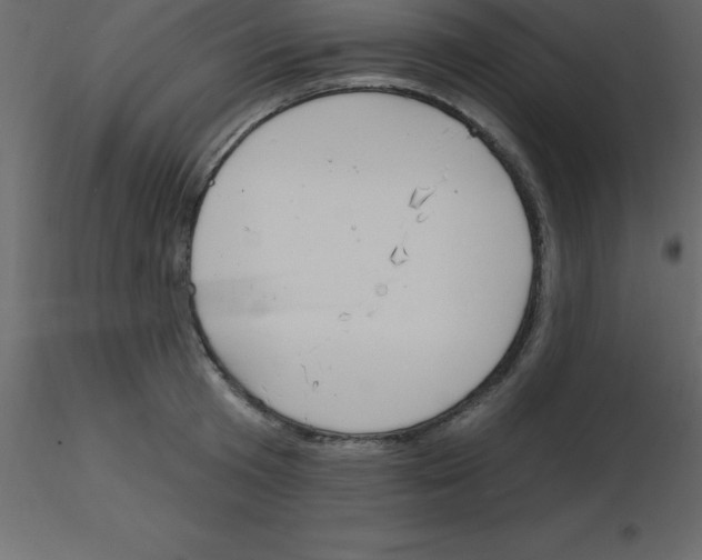X0000115790801200912241830