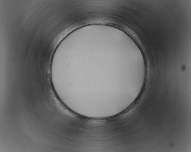 X0000115790802200912241830