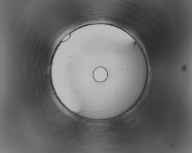 X0000115790805200912241830