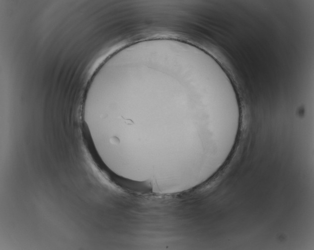 X0000115790806200912241830
