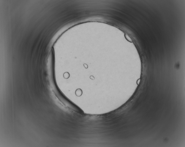 X0000115790808200912241830