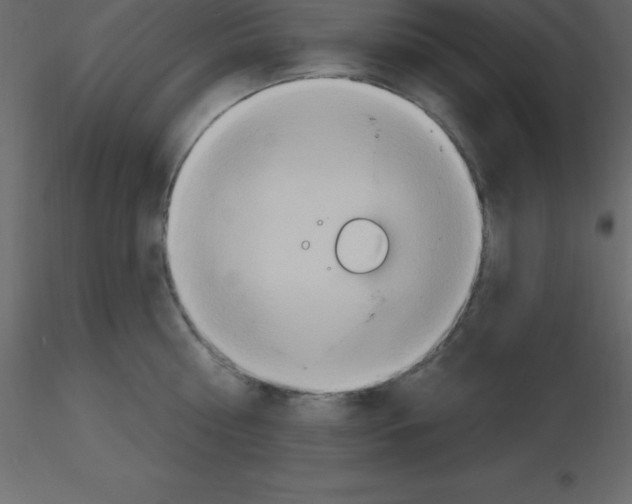 X0000115790810200912241830