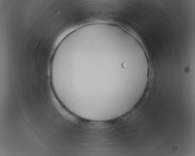 X0000115790811200912241830
