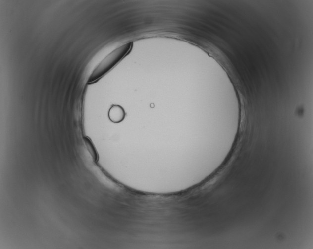 X0000115790812200912241830