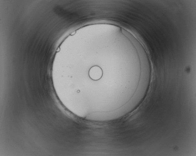 X0000115790813200912241830