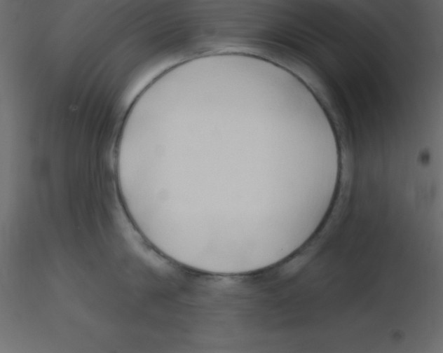 X0000115790814200912241830
