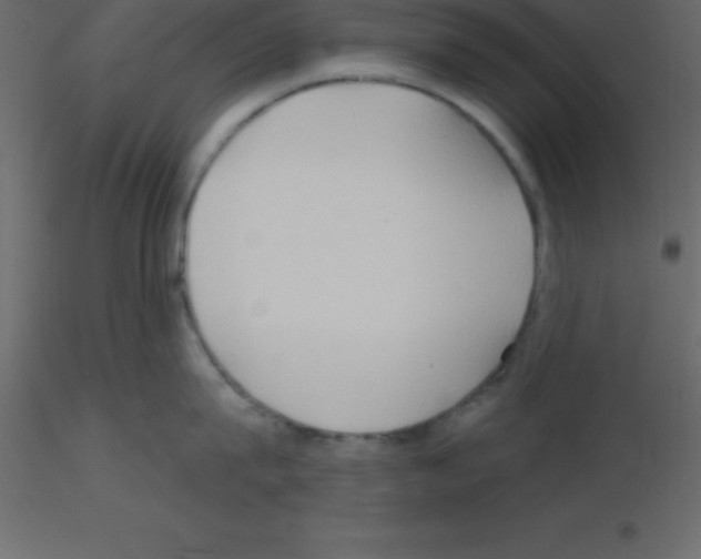 X0000115790815200912241830