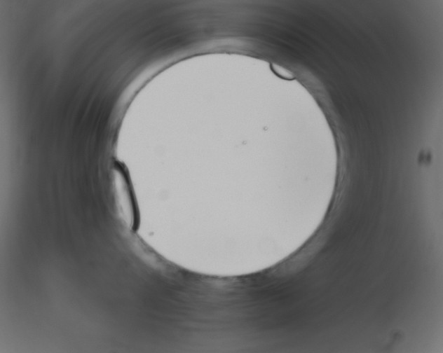 X0000115790816200912241830
