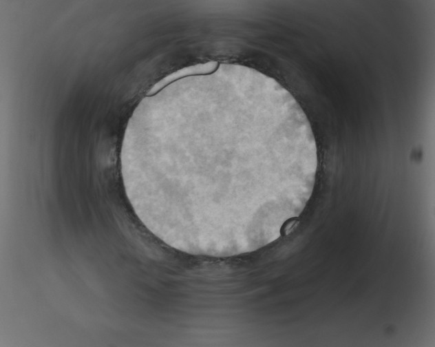 X0000115790818200912241829