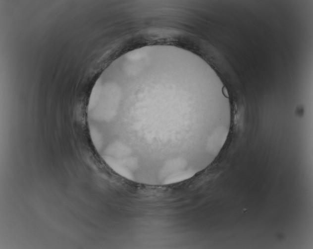 X0000115790819200912241829