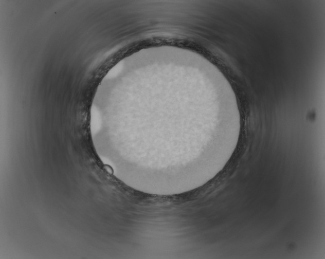 X0000115790822200912241829