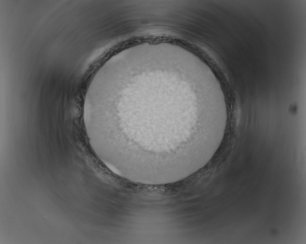 X0000115790823200912241830
