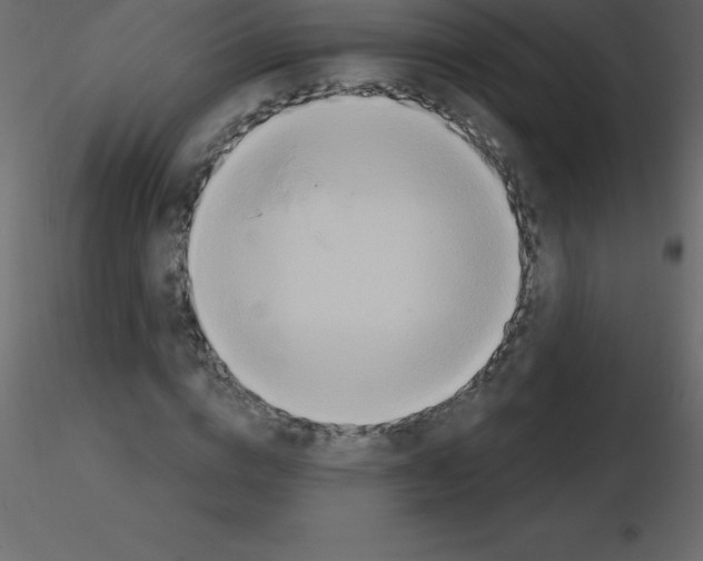 X0000115790824200912241830