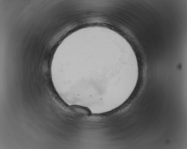 X0000115790825200912241830