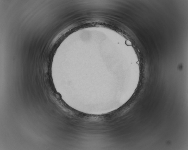 X0000115790826200912241830