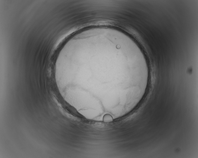 X0000115790827200912241830