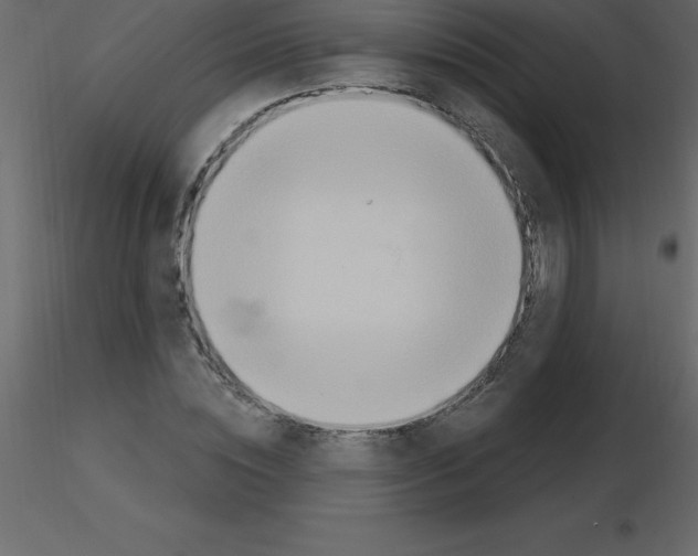 X0000115790828200912241830