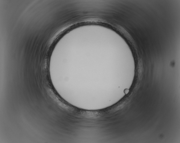 X0000115790831200912241830