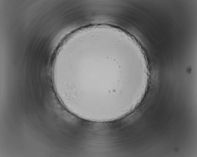 X0000115790832200912241830