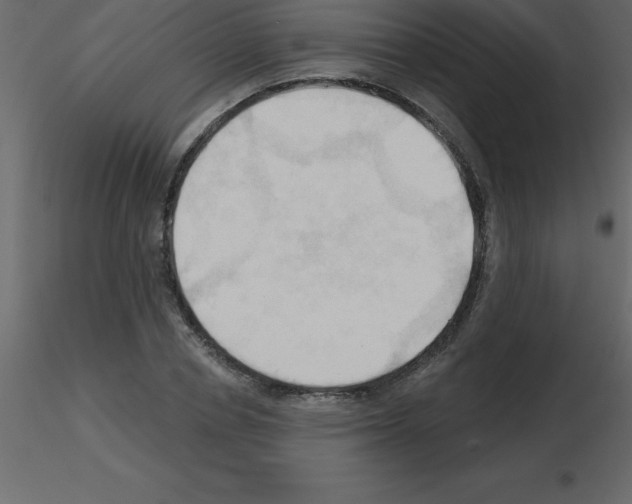 X0000115790834200912241830