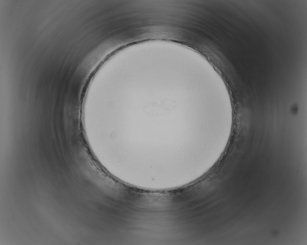 X0000115790836200912241830