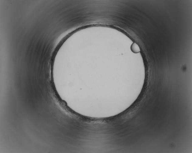 X0000115790838200912241830