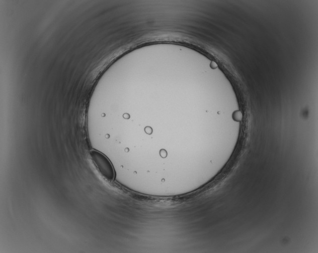 X0000115790841200912241830