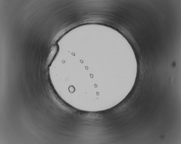 X0000115790842200912241830