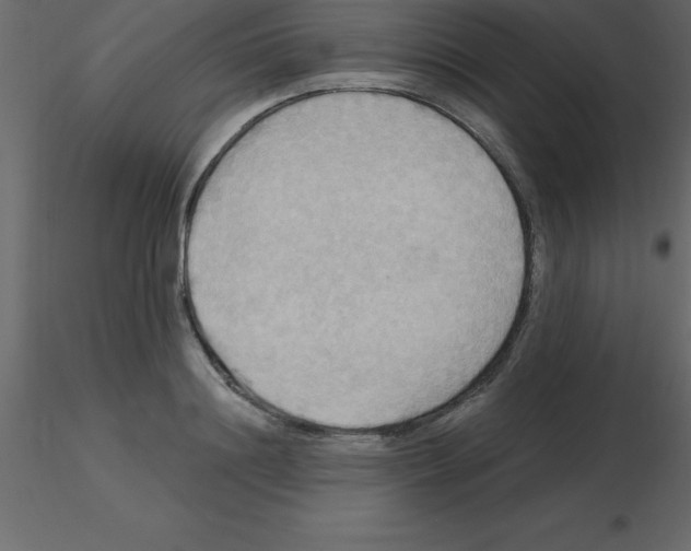 X0000115790844200912241830