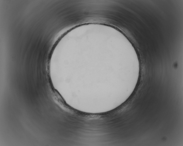 X0000115790846200912241830