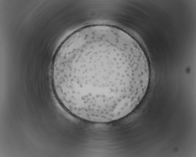 X0000115790847200912241830