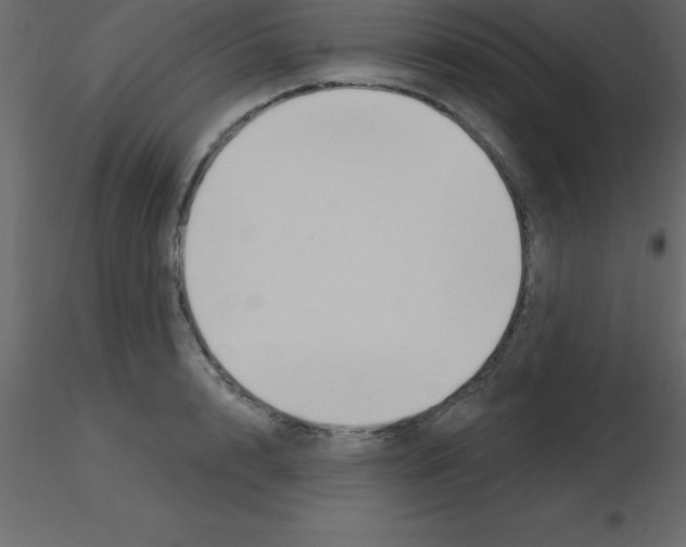 X0000115790848200912241830