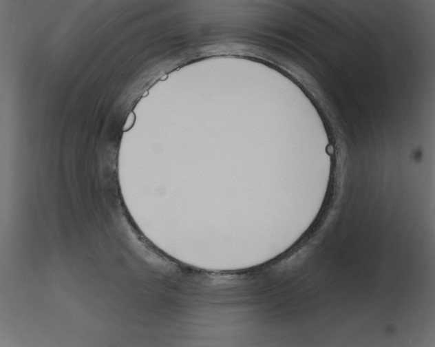 X0000115790849200912241830