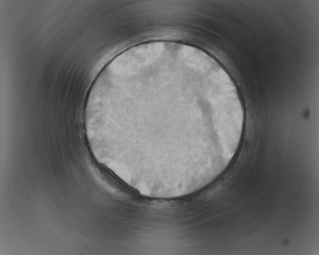 X0000115790850200912241830