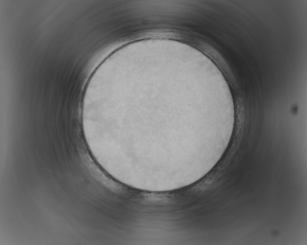 X0000115790852200912241830