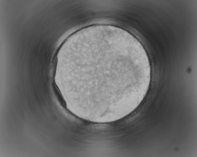 X0000115790853200912241830