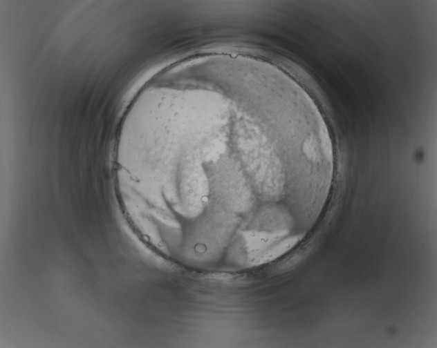 X0000115790855200912241830