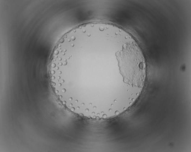 X0000115790856200912241830