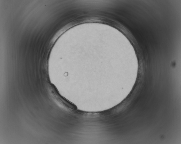 X0000115790858200912241830