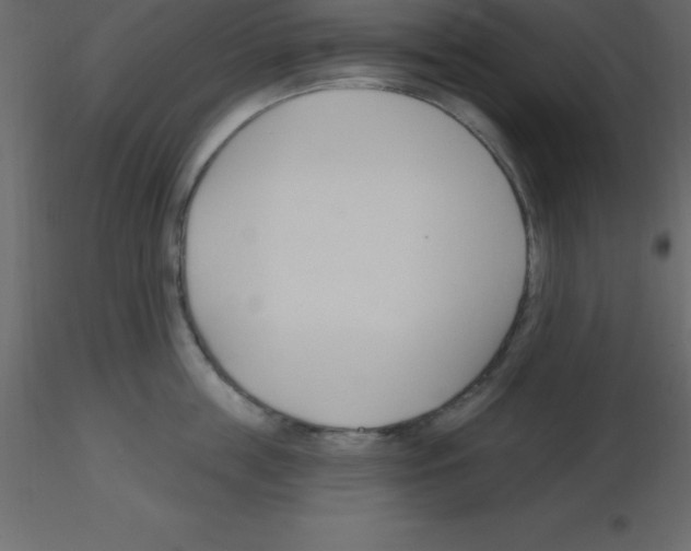 X0000115790859200912241830