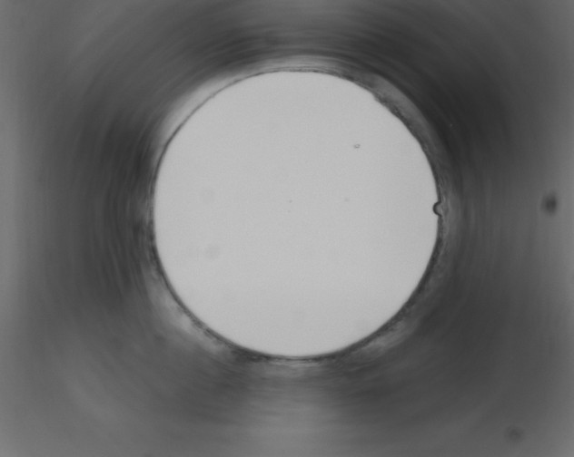 X0000115790860200912241830