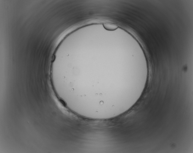 X0000115790861200912241830