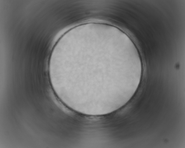 X0000115790862200912241830